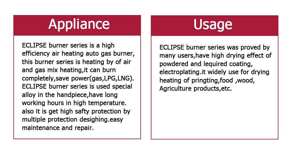 Original and Genuine Eclipse Gas Burner for Rapid Heating in The Industrial Field of Direct Sales in Chinese Factories for Internal Combustion Engine Production